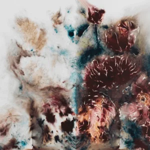 Cai Guo-Qiang - Yin-Yang Peonies, 2019