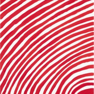 David Shrigley - Vibes